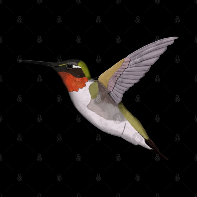 Hummingbird Bird Art Birdlover Birdwatcher Animal by jzbirds