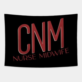 CNM: Nurse Midwife Tapestry