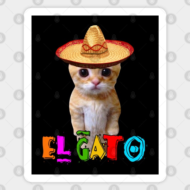 El Gato Mexican Kitten