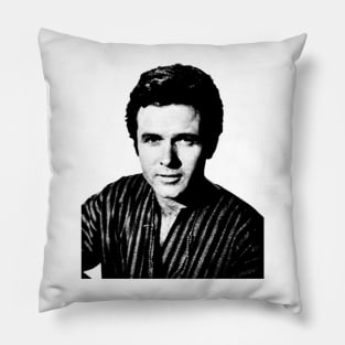 Mark Goddard // Vintage Style Design Pillow