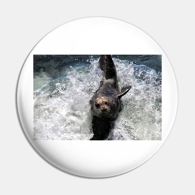 Carefree lifestyle Pin by Photography_fan