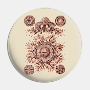 Ernst Haeckel Discomedusae Jellyfish Plate 28 Coral Pin