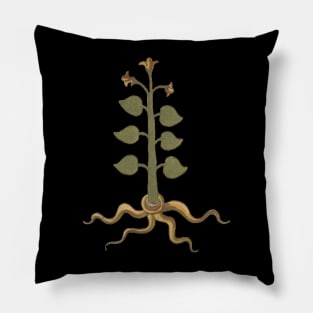 Spiritual Plant Herbal Medieval Plant Lover Romantic Art Pillow
