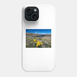 Summer in the Mountains Phone Case