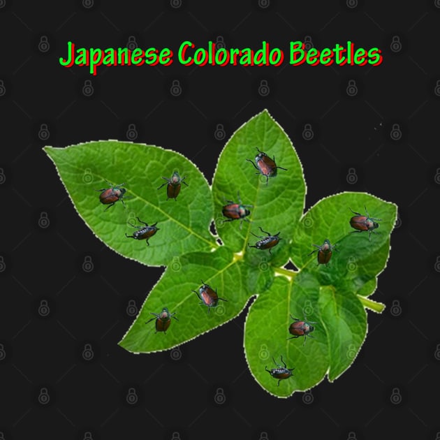 Japanese Colorado Beetles by longford
