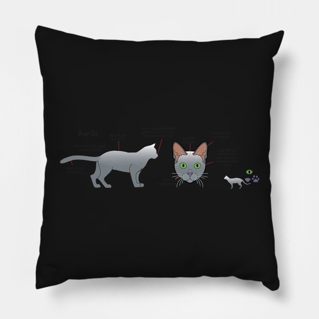 Korat mug Pillow by Cedarseed