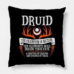 Druid, Dungeons & Dragons - The Divine Champion Pillow