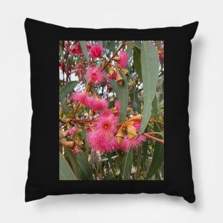 Flowering Gum Tree Pillow