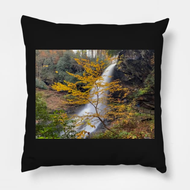 Dry Falls Pillow by Ckauzmann