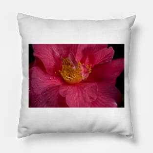 Clematis Stamens Pillow