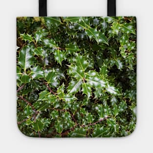 Holly Tote