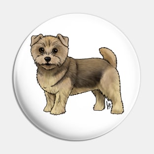 Dog - Norfolk Terrier - Grizzle Pin