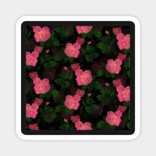 Elegant Pink Roses Floral Painting Black Design Magnet