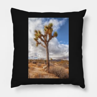 Joshua Tree color Pillow