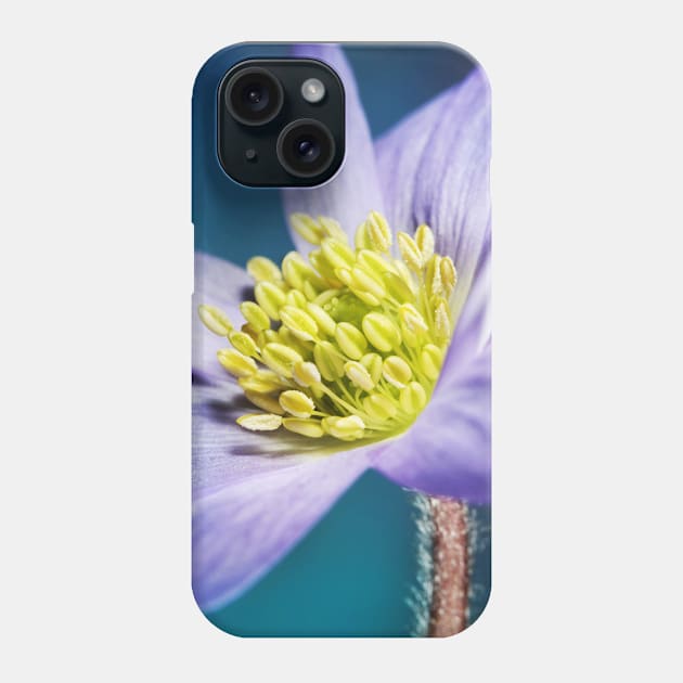 Spring Blues Phone Case by SharonJ