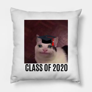 class of 2020 Pillow