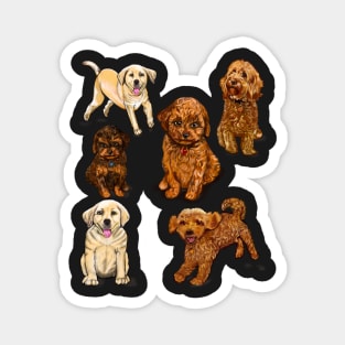 puppy, puppies, lots of puppies! cute cavalier king charles spaniel, Labrador and cavapoochon Magnet