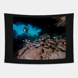 Diver in Cavern With School of Fish Tapestry