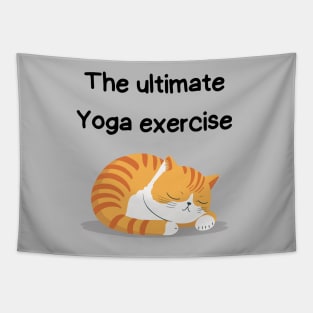 Sleeping Affirmation Cat - The ultimate Yoga exercise | Cat Lover Gift | Law of Attraction | Positive Affirmation | Self Love Tapestry