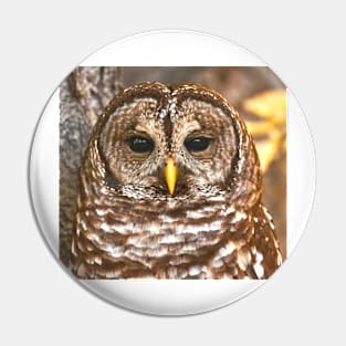 Barred Owl Pin