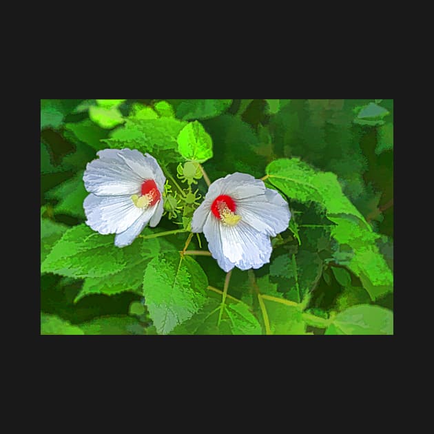 Marsh Mallow by EileenMcVey