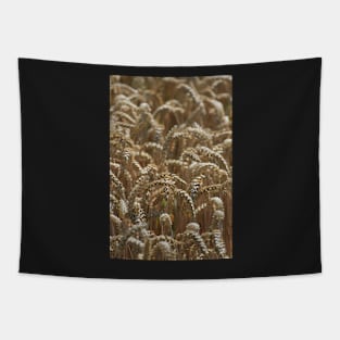 Wheat (portrait) Tapestry