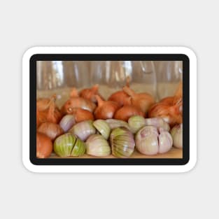 Allium cepa (Aggregatum Group)  &#39;Red Sun&#39;  Shallots Magnet