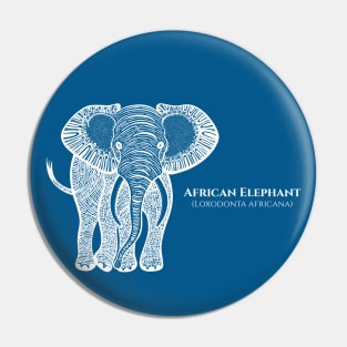 African Elephant with Common and Latin Names - gift for elephant lover Pin