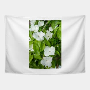 White Dogwood Flowers. Tapestry