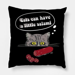 Can Cats Have Salami Pillow