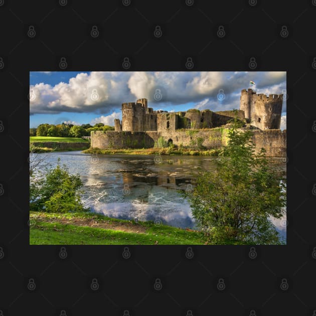 Caerphilly Castle Moat by IanWL