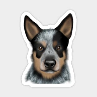 Cute Australian Cattle Dog Drawing Magnet