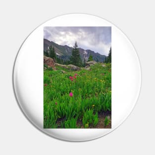 High Alpine Wildflowers Pin