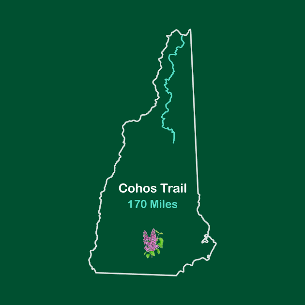 Cohos Trail in New Hampshire by numpdog