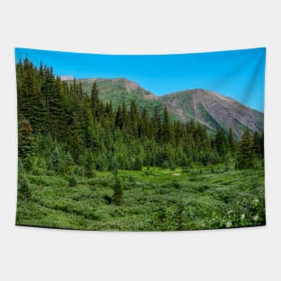 Lush Mountain Meadow. Tapestry