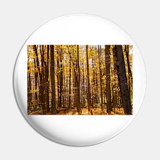 Autumn deep in forest scene on a trail Pin