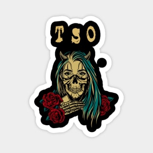 TSO Magnet