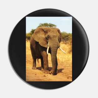 ELEPHANT WALK Pin