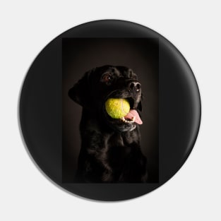 Labrador Retriever Pin