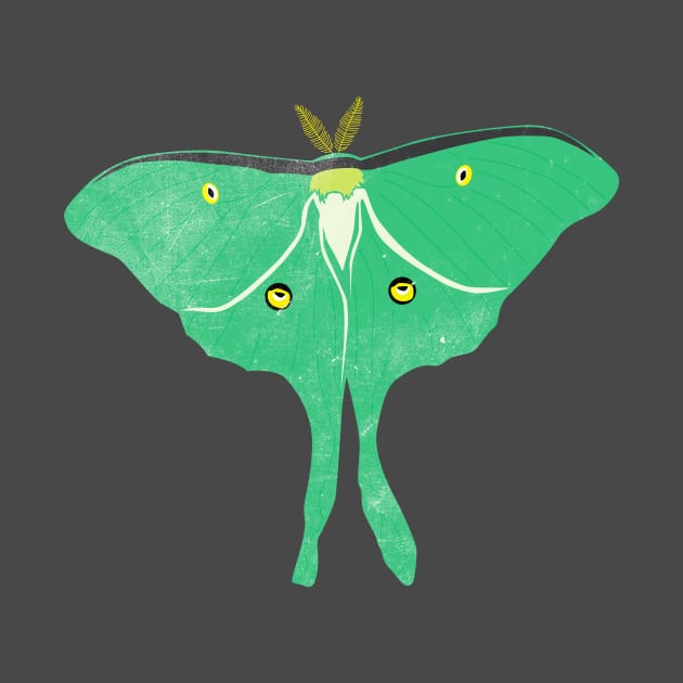 Luna Moth by emilywayland