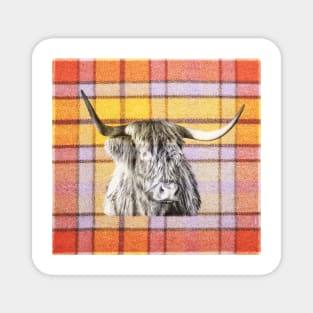 Tartan Highland Cow in Black and White Magnet