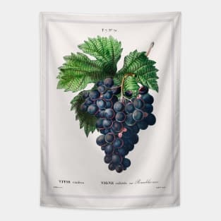 Vitis Vinifera Tapestry