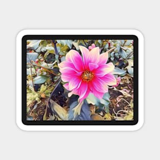 Flower close up photography Magnet