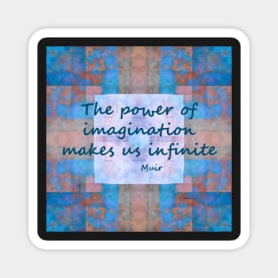 Imagination John Muir Quote Magnet