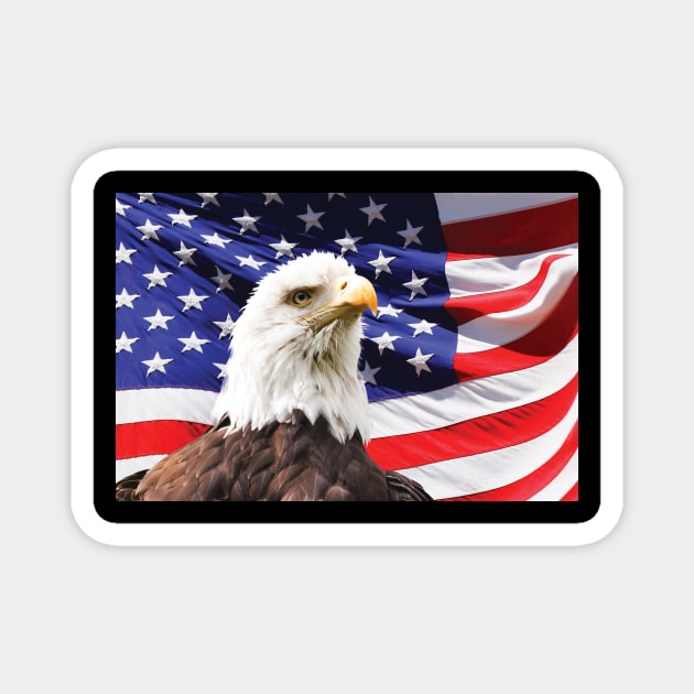 American Eagle and Flag for Patriots Magnet by Bravowear