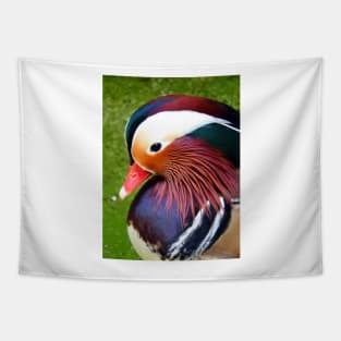 Mandarin Duck Tapestry