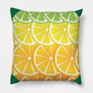 Various Citrus Slices Pillow