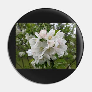 Wet White Tree Flowers 2 Pin