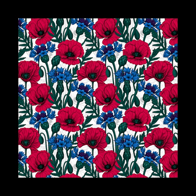 Red poppies and blue cornflowers on white by katerinamk