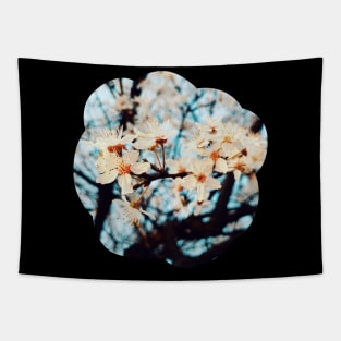 Flowers Spring - Photography collection Tapestry